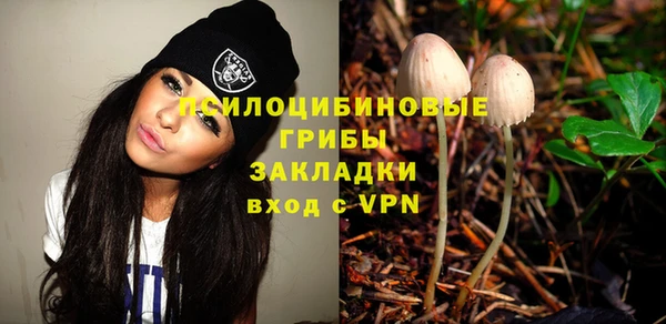 дурь Алзамай