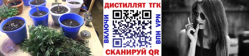 Дистиллят ТГК THC oil  Алексеевка 