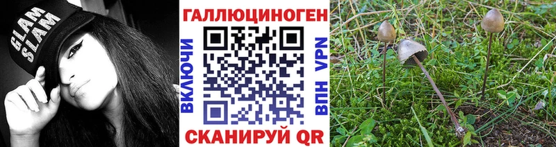 нарко площадка как зайти  Алексеевка  Псилоцибиновые грибы ЛСД 