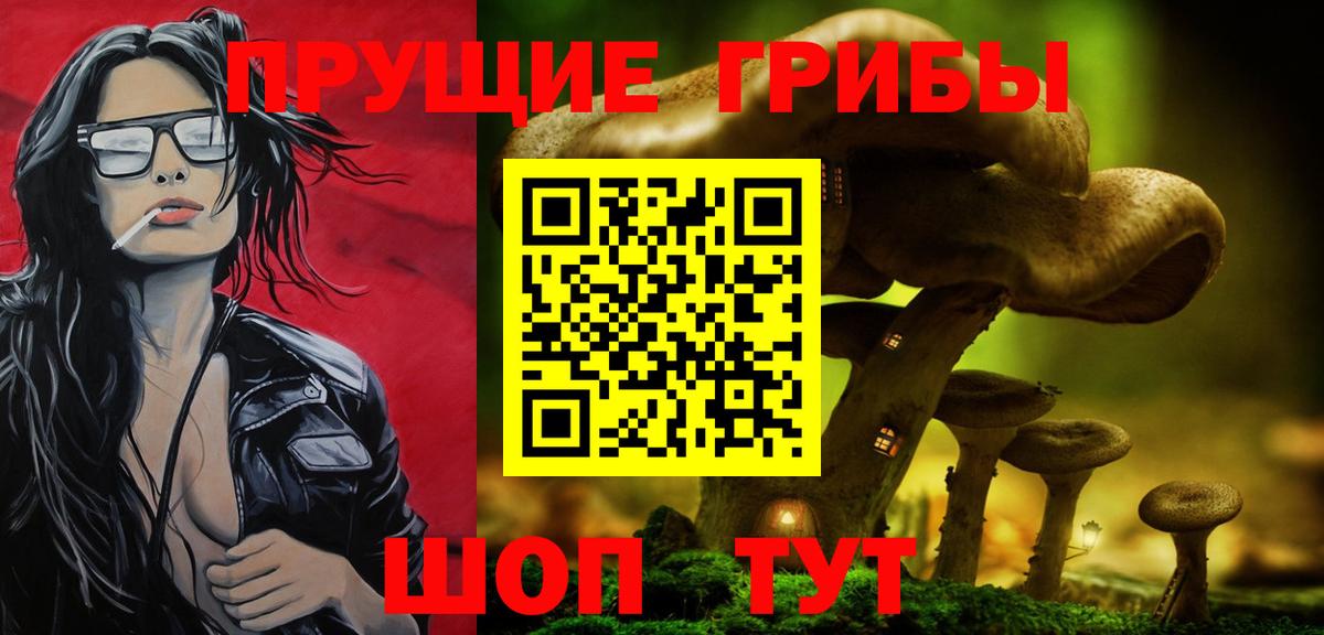 Псилоцибиновые грибы GOLDEN TEACHER Алексеевка