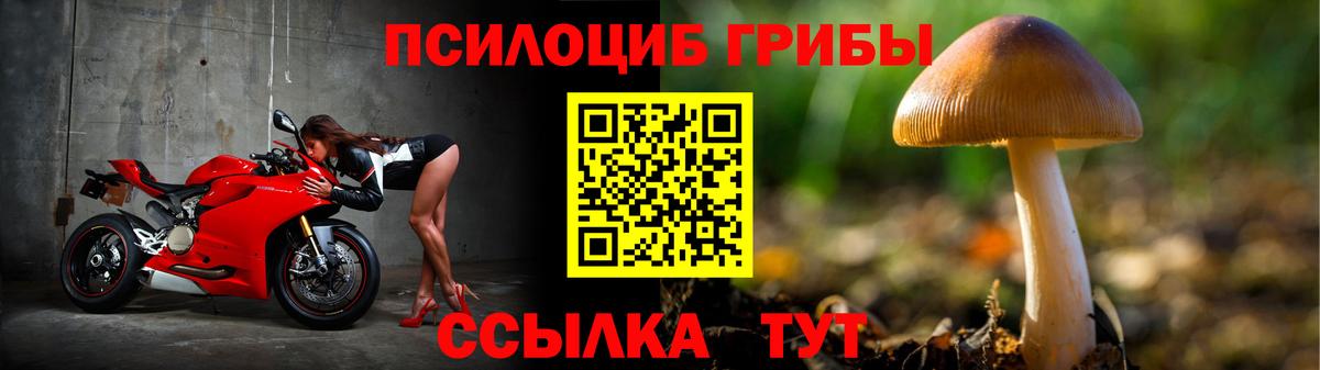 Галлюциногенные грибы Psilocybine cubensis  Вход с VPN  Галлюциногенные грибы GOLDEN TEACHER  Алексеевка 